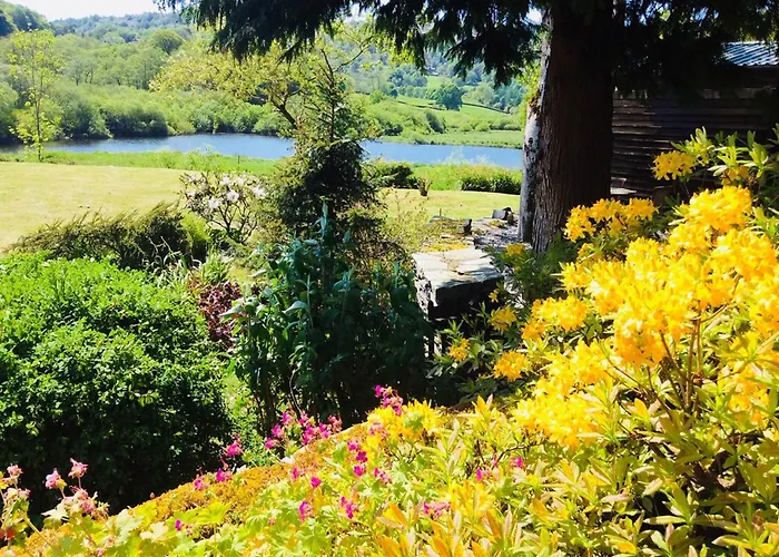 بيت للعطل The Dove Cot *